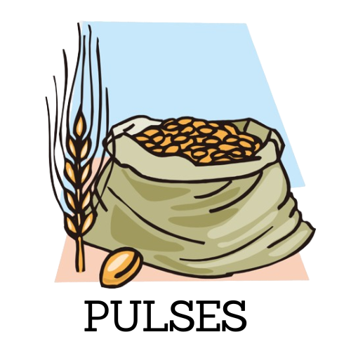 PULSES